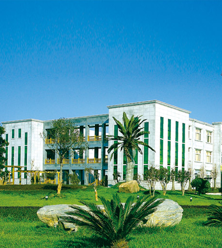 �p���y�T(m��n)